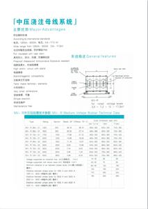 中壓澆注母線系統(tǒng)